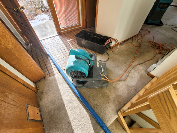 Best Water damage cleanup near me  in Ontario, OR