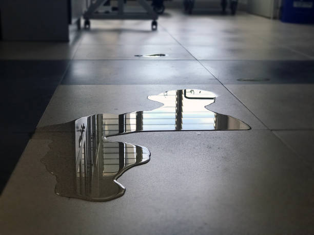 Best Professional water damage repair  in Ontario, OR
