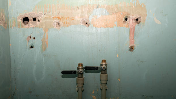 Best Flood damage cleanup  in Ontario, OR