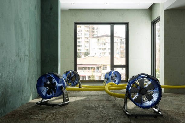 24/7 water damage repair in Ontario, OR